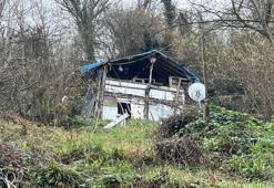 Kocaeli bağ evinde balta ve kazmalı cinayet! 'Hatırlamadığım kadar kafasına vurdum' Korkunç ifadeler