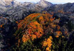 Türkiye'de çok nadir görülüyor: Denizli’nin gizli cennetinde renk cümbüşü: Doğa tutkunları buraya akın ediyor