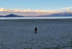 Batı Akdeniz'de sessizce büyüyen tehlike! 50 yılda yarısı yok oldu: Haritadan silinme tehlikesi var
