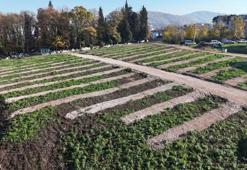 Kocaeli'de 2 mahalleye kuruldu: Binlerce metrekare alan ayrıldı