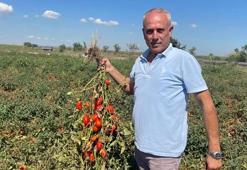 Bu isim başka kimsede yok! Dedesinin seçim zaferi, torununun adı oldu: Hikayeyi duyan ilk başta inanamıyor