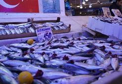 Hamsi Gürcistan'a geçti, zirvedeki yerini istavrite bıraktı