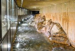 Malatya'da üretimi için 255 bin metrekare ayrıldı: Tasarruf için devreye alındı