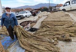 Şubat ayında serüven başlamıştı! 10 aylık emeğin ardından satış fiyatı 250 lira oldu