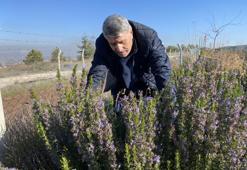 10 yıllık çalışma başarıya ulaştı! Artık bu ürün Eskişehir'de üretilebiliyor
