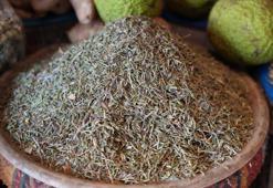 Gaziantep'te gribin doğal ilacı: Bir tutamı anında kesiyor! Gram gram satılıyor