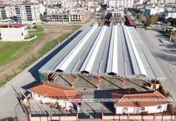 Aydın'da vicdanlar rahatladı: Belediye çözümü pazayerinde buldu!