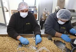 Giresun'da kadın girişimci muhasebeciliği bıraktı, aldığı hibeyle kendi işinin patronu oldu: Yılda 100 bin ton işliyor, 10 kişiyi istihdam etti