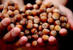 Giresunlu üretici satmayınca fiyatlar yükselişe geçti! 265 liradan alıcı buluyor