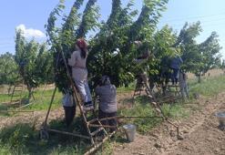 Edirne’den Avrupa’ya ihraç ediliyor! Bir yerli ürün daha coğrafi işaret tescili aldı