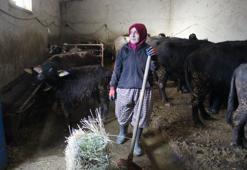 Kadın girişimcinin azmi! 11 hayvanla başladı, şimdi siparişlere yetişemez hale geldi