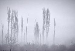 Evliya Çelebi müjdesini vermişti! Muğla'nın yaylasında görüldü