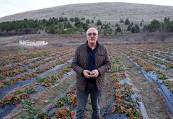 Tokatlı vatandaş hobi olarak başladı! Şimdi siparişlere yetişemiyor