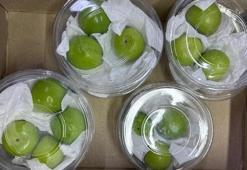 Bursa’da erik tezgaha düştü, fiyatı şok etti!