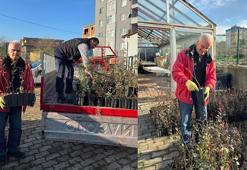 Giresun'dan mavi yemiş atağı! Çiftçiye ek gelir sağlayacak