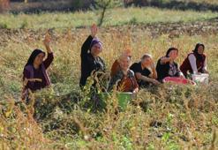 Samsun'da 2026'da başlıyor! Dar gelirli ailelere ücretsiz verilecek, belediye başkanı duyurdu