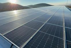 Ispartalı vatandaş memurluğu bıraktı TKDK'ya başvurdu! Aldığı destekle hem çatıda hem de çatının altında üretiyor