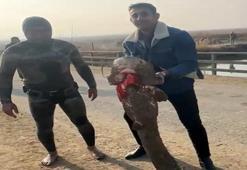 Iğdırlı amatör balıkçı görenleri hayrete düşürüyor! Nefesini tutup eliyle yakalıyor