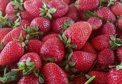 Konya'da bir lezzet daha resmen tescillendi