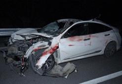 Malatya-Ankara karayolunda feci olay: Milyonluk taylar karayolunda telef oldu