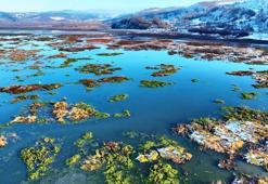Samsun'da cennetten bir köşe! Beyaz gelinliğini giyen Ladik Gölü’nün güzelliği göz kamaştırdı