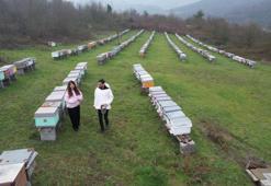 Dededen mesleğine 40 kovanla başladı, ürettiği dünyayı fethetti: Avrupa'da en iyisi seçildi! 'Yeraltında kömür yerüstünde o...'