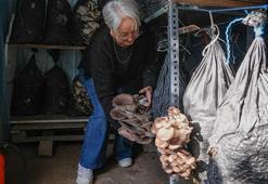 İşçiliği az, getirisi çok! Küçük bir alanda başladılar şimdi para basıyorlar!