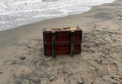 Samsun'da deniz kenarında gizemli 'Rus' sandığı! Yürüyüş yaparken fark etti