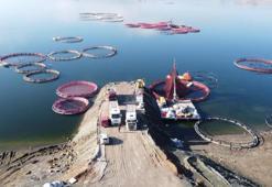 Yozgatlı üretici servet yetiştiriyor! Rusya ve Japonya peşine düştü: Talep katlanıyor