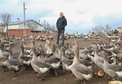 İstanbul'u terk edip memleketi Kastamonu'ya yerleşti! 130 hayvanla başladı, 5 yılda kendi işinin patronu oldu