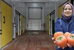 Bilecikli kadın girişimci hibe desteğiyle köyünde tesis kurdu! Ürünler Türkiye’nin dört bir yanına gönderiliyor