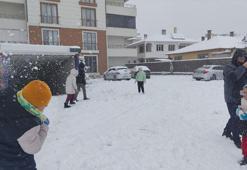 Erciş'te vatandaşlar sevinçli: Uzun zamandır kar yağmasını bekliyorduk