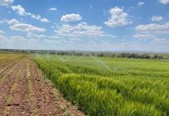 Ereğli'de merkez, Konya'da 5 model hayata geçiyor! Çiftçiye 5 ürün tavsiye edildi