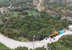 Tarla fiyatı 2 TL'ye kadar düştü! Üreticilerinden market fiyatlarına tepki