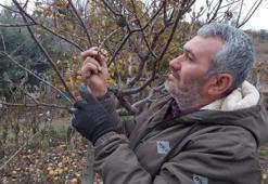 Manisa'da beklenmedik görüntü! Görenler gözlerine inanamadı