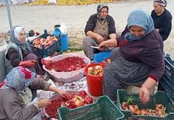 İmece usulü üretiliyor, yıllarca bozulmuyor: Mersinli kadınların yeni gelir kapısı oldu