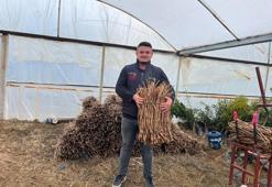 2 mühendis kardeş 700 bin adet üretip rekor kırdı! Binlerce işçi istihdam ettiler: Manisa'dan 3 bölgeye satılıyor