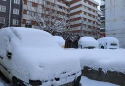 Şanlıurfa'da okullar tatil mi? Yarın okul var mı? 31 Aralık 2025 Çarşamba Şanlıurfa'da okullar tatil edildi mi? Açıklama geldi