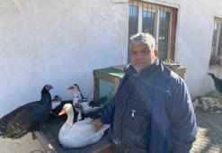 Tezgâhlara yılbaşı da etki etmedi! Hindi var, kaz var alıcı yok