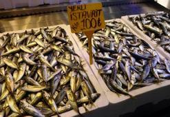 İstavrit hamsiyi tahtından etti! Artık en ucuz oldu