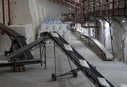 Türkiye’de bir ilk! Kayseri'de deneme ekimi sonuç verdi: Üreten çiftçi 2 kat para kazanacak