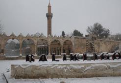 Şanlıurfa'da 58 yıl sonra bir ilk yaşandı! En son 1968 yılında görülmüştü