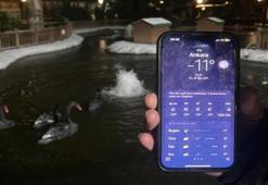 Ankara eksi 11 derece ile buz kesti! Kuğulu Park dondu