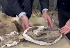 Iğdır'ın köyünde keşfedildi! Dünyada böylesi yok, 10 metre uzunluğunda, 5 metre yüksekliğinde