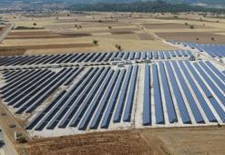 Antalya'da 19 bin çiftçiye dev destek! Elektrik yükü tamamen kalkıyor