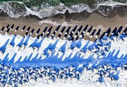 Sakarya’nın karla kaplanan Karadeniz sahili ve Büyükmelen Çayı havzası havadan görüntülendi