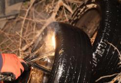 Adana'da gece yarısı herkes tarlaya koştu! Sıfırın altında toplandılar