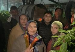 Antalya'da don alarmı! Termometreler sıfırın altını gördü, üretici don nöbetine başladı