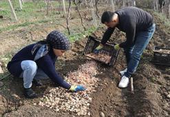 Tekstili bıraktı, eşiyle üretime başladı! Hobi olarak ektiği o bitkiyle servet kazandı: Şimdi siparişlere yetişmiyor