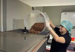 Giresunlu kadın girişimci arkadaşının tavsiyesiyle başladı, kendi işinin patronu oldu! Fabrikasında kırıyor, kavuruyor ve tüm Türkiye'ye gönderiyor